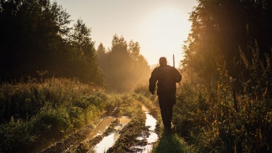 Parties de chasse = revenus fonciers ?