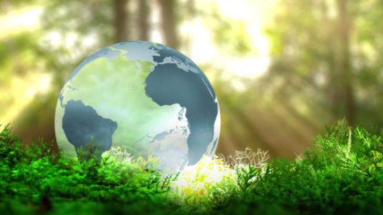 Environnement : qu’est-ce qu’une zone de protection forte ?