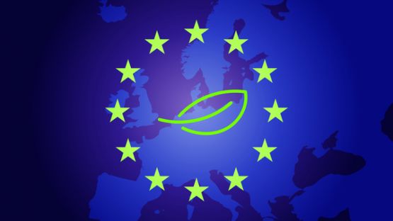 Ecolabel européen : à quoi ça sert ?