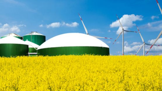 Production de biogaz : sur certificat ?