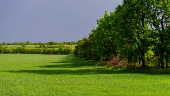 Droit de préemption de la SAFER : un délai raccourci ?