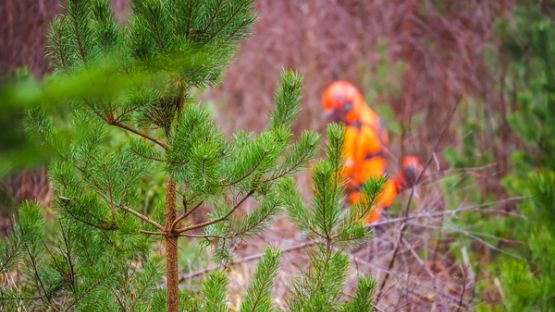 Travaux agricoles, forestiers et accise sur les énergies : une avance exceptionnelle