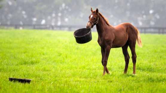 Quand un particulier se professionnalise… au détriment du voisinage…