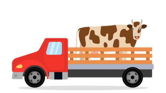 Plan de résilience : extension de l’aide aux transporteurs