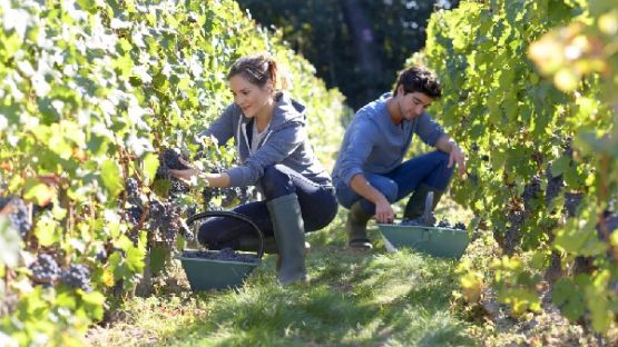 Jobs d’été : ce qu’il faut savoir