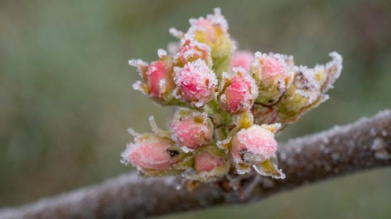 Gel 2021 : élargissement des bénéficiaires éligibles à un soutien financier