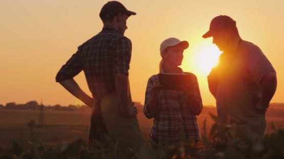 Employeurs agricoles : déclarez l’accident du travail, identifiez le responsable !