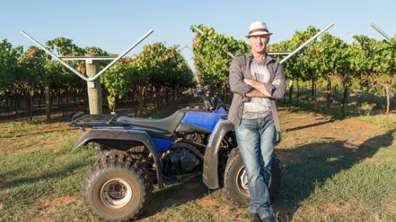 Quads et mini motos : à déclarer ?