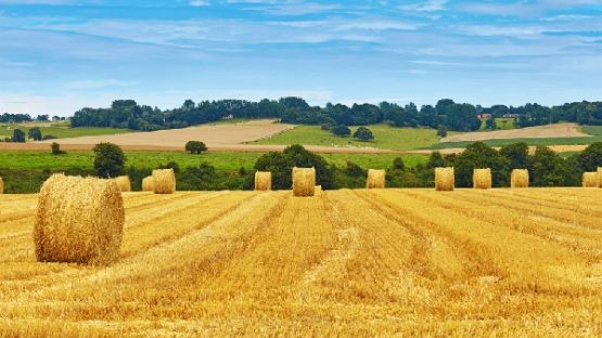 Crise ukrainienne : quel soutien social pour le secteur agricole ?