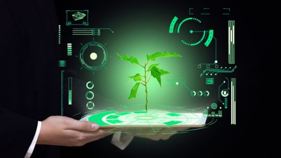 Numérique et écologie : les bons réflexes !