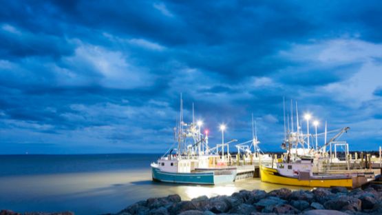 Hausse des prix de l’énergie : une aide pour les entreprises de pêche