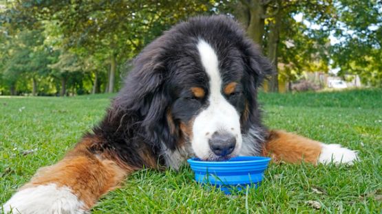 Fortes chaleurs : quelles précautions les professionnels doivent-ils prendre ?