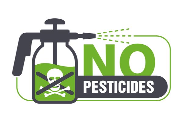Usage des pesticides : la liste des interdictions s’élargit