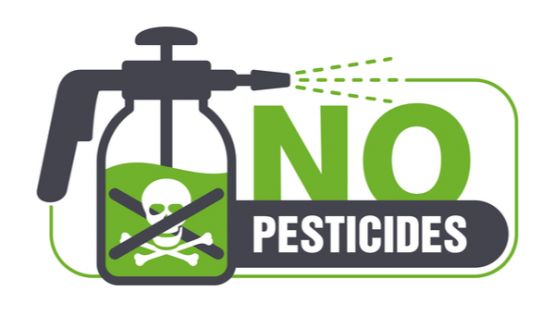 Usage des pesticides : la liste des interdictions s’élargit