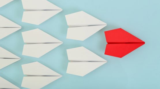 Réforme du statut d’entrepreneur individuel : quoi de neuf ?