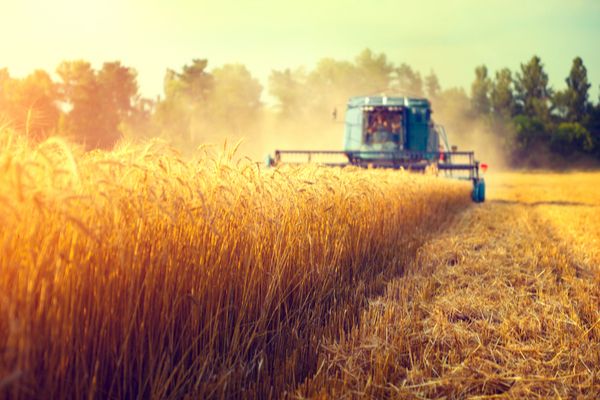 Crise ukrainienne et secteur agricole : la MSA vous accompagne…