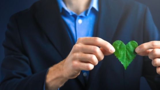 Achat/location de véhicules peu polluants : le point sur le « bonus écologique »