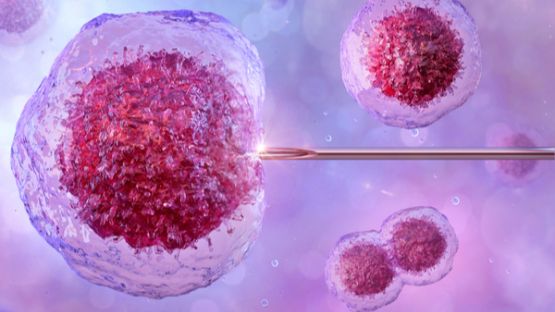 Don de gamètes : un anonymat relatif…