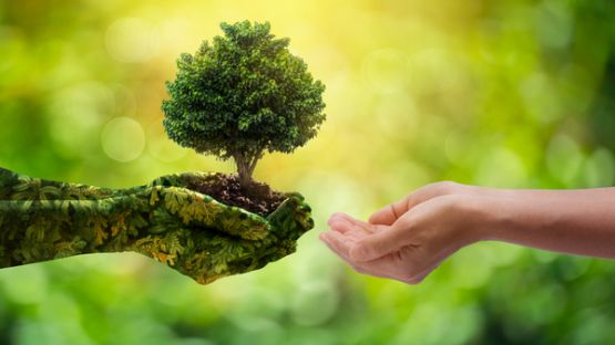 Plan sobriété énergétique : à établir en septembre 2022 !