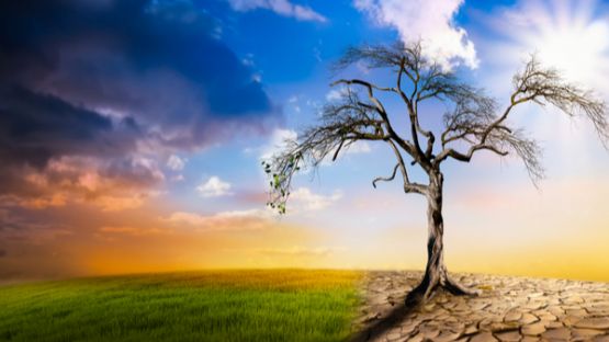 Réseaux d’énergie et de communication : la résilience à l’épreuve des risques naturels