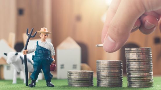 Aides financières pour les exploitations agricoles en difficulté : une simplification