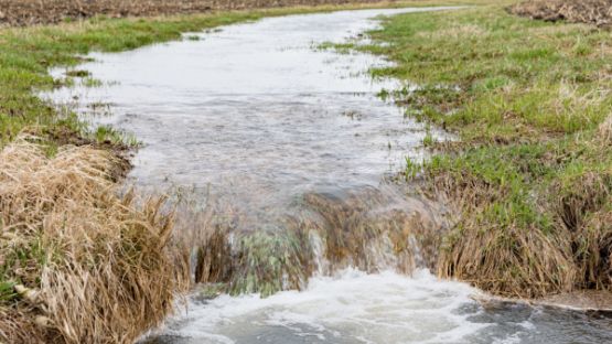 Création d’un nouveau droit de préemption pour préserver les ressources en eau