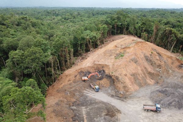 Vers des produits interdits d’importation pour lutter contre la déforestation ?