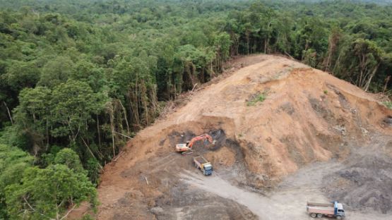 Vers des produits interdits d’importation pour lutter contre la déforestation ?