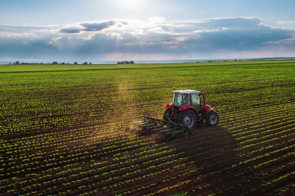 Artificialisation des terres agricoles : la faute à la pression fiscale ? 