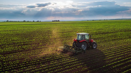 Artificialisation des terres agricoles : la faute à la pression fiscale ? 