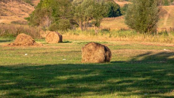 Agrandissement d’exploitations agricoles : quand la procédure est suspendue…