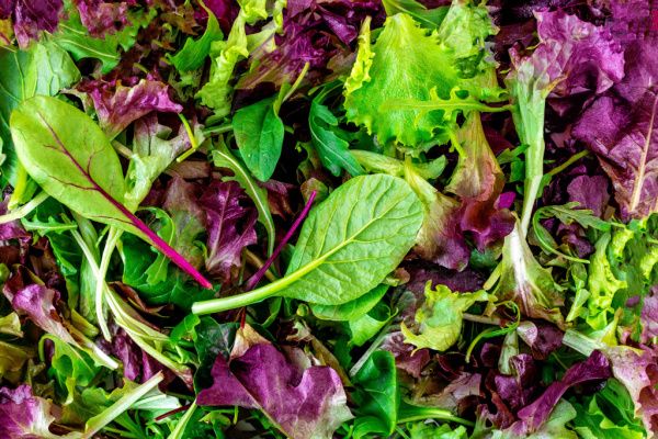 Cotisation foncière des entreprises : vente de salades = activité agricole ?