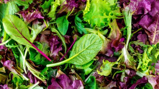 Cotisation foncière des entreprises : vente de salades = activité agricole ?