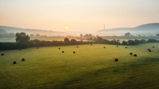 Bail rural : à qui profite les travaux d’amélioration ?