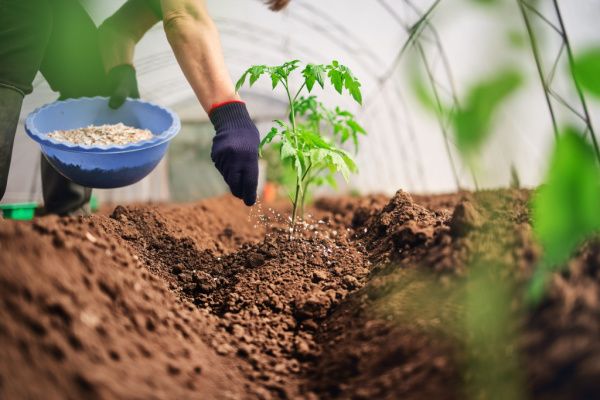 Produits fertilisants : un secteur sous contrôle