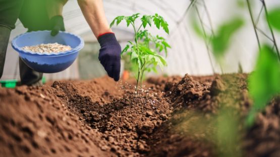 Produits fertilisants : un secteur sous contrôle