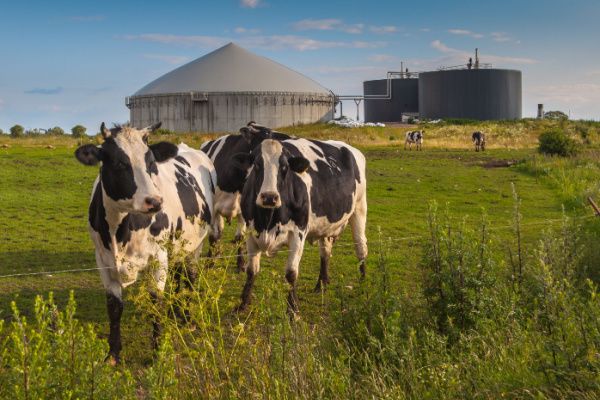 Filière méthanisation : tenir compte du voisinage