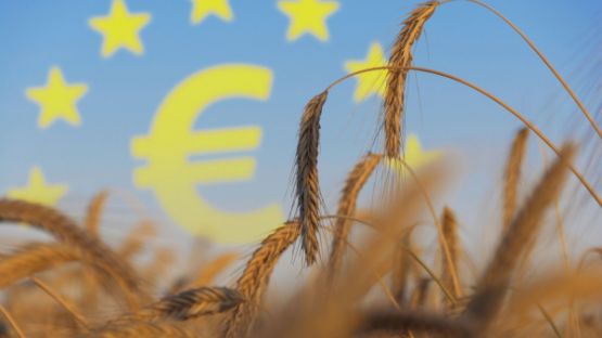 Agriculteurs : les aides européennes arrivent !