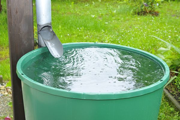 Lutte contre la sécheresse : des récupérateurs d’eau de pluie payés par MaPrimeRénov ?