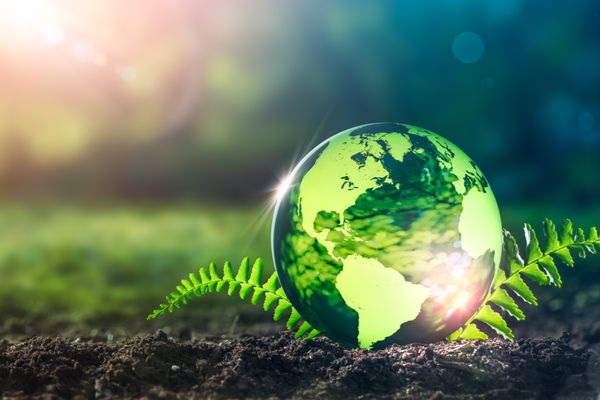 Renforcement des exigences pour la certification environnementale