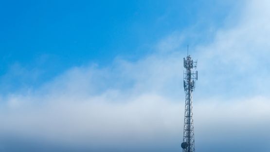 Affichage du débit d’absorption spécifique (DAS) : une réglementation pas toujours respectée