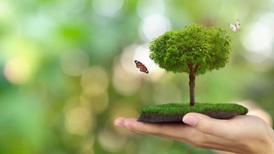 Zones Natura 2000 : quid de l’utilisation de pesticides ?