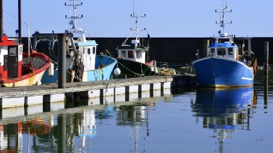 Un portail dédié à la formation des métiers maritimes !
