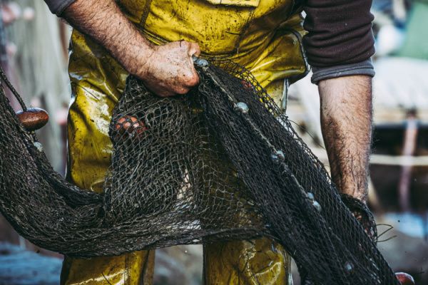Pêcheurs : une réglementation qui se renforce…