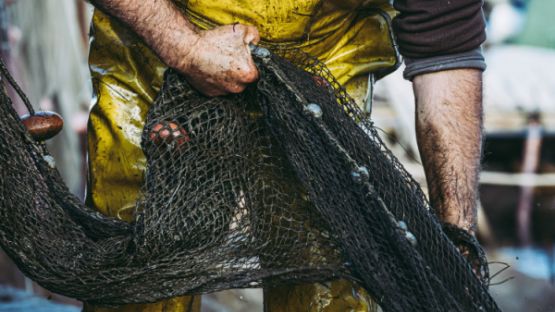 Pêcheurs : une réglementation qui se renforce…