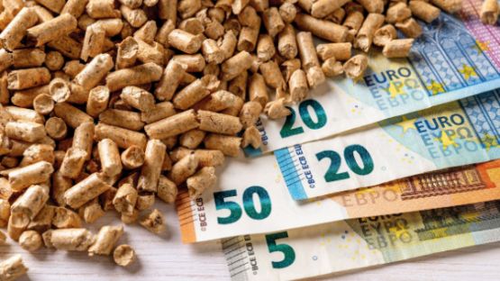 Un chèque énergie exceptionnel pour les ménages chauffés au bois