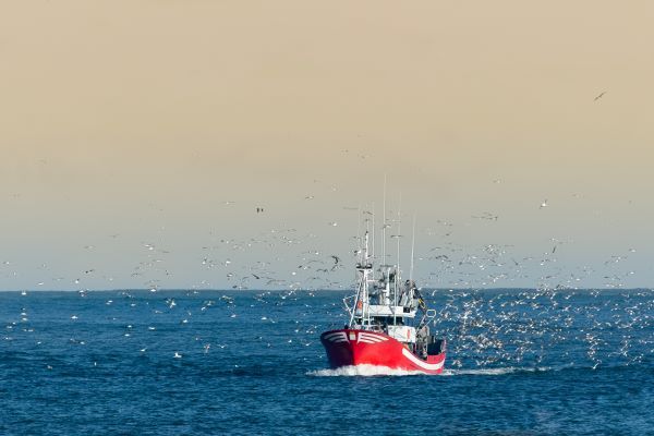 Pêche en Méditerranée : publication des quotas d’effort de pêche pour 2023