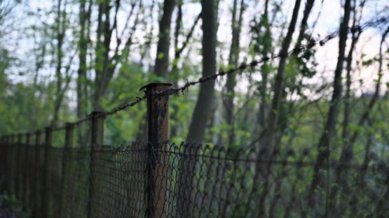 Espaces naturels et clôtures : de nouvelles mesures à connaître !