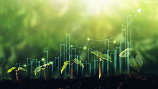 Environnement : votre entreprise est-elle « vertueuse » ?