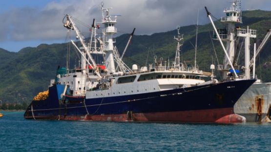 Défaut de conformité et réception sans réserve d’un navire : cas vécu